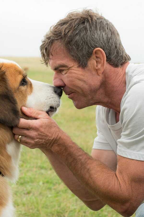 Tu mejor amigo (2017) 0