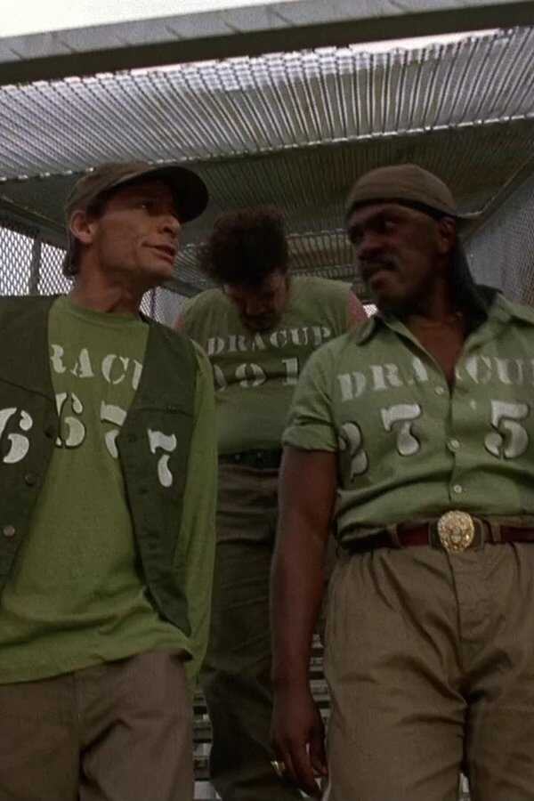 Ernest Goes to Jail (1990) 0