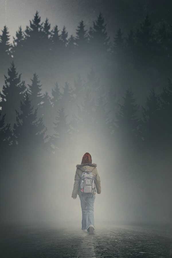 La chica en la niebla (2017) 0