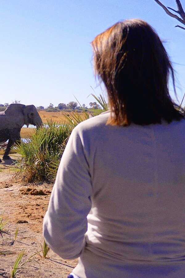 In the Footsteps of Elephant (2020) 0