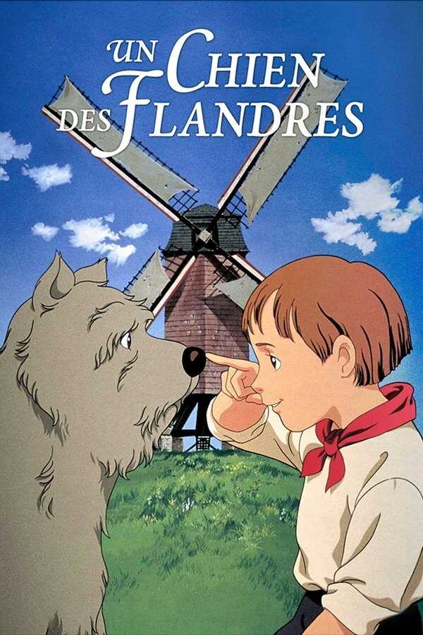 FR - Un chien des Flandres 8