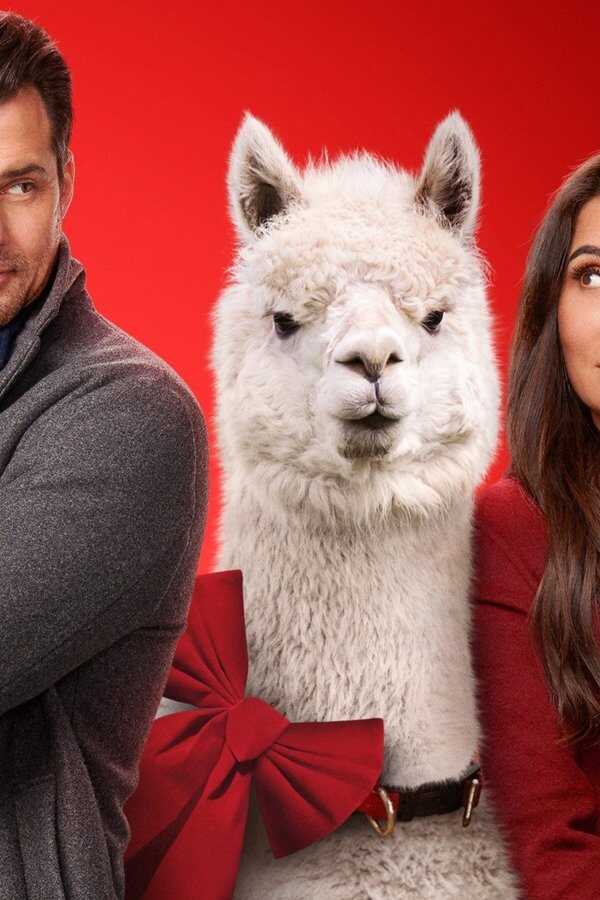 We Wish You a Married Christmas (2022) 0