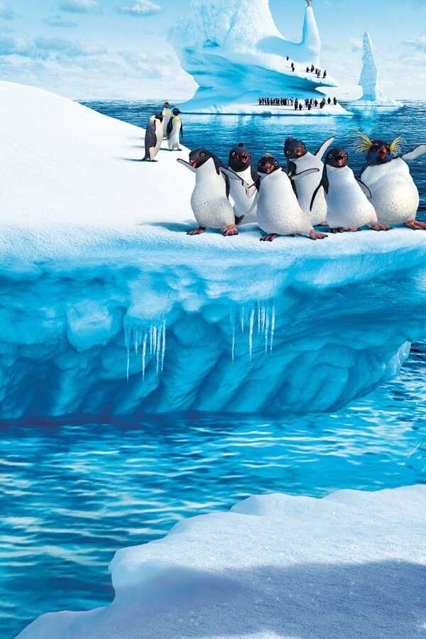 Happy Feet: Rompiendo el hielo (2006) 0
