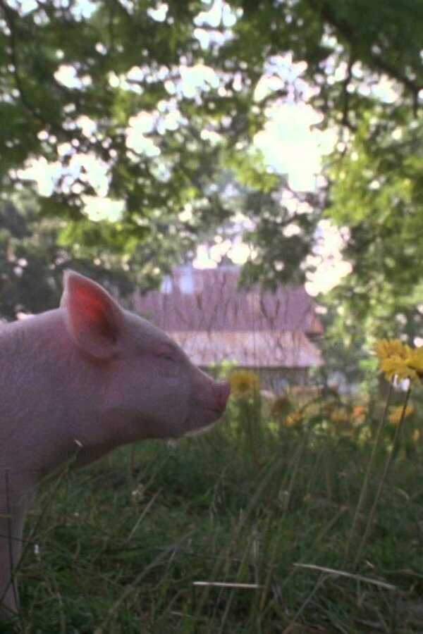 Gordy (1995) 0