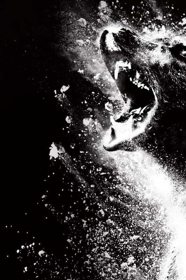 Cocaine Bear (2023) 0