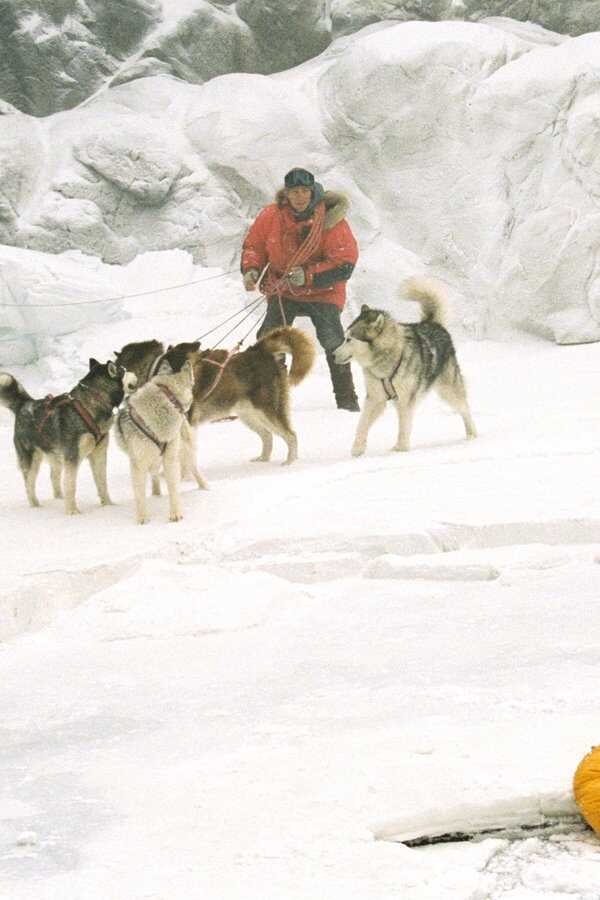 Eight Below (2006) 0