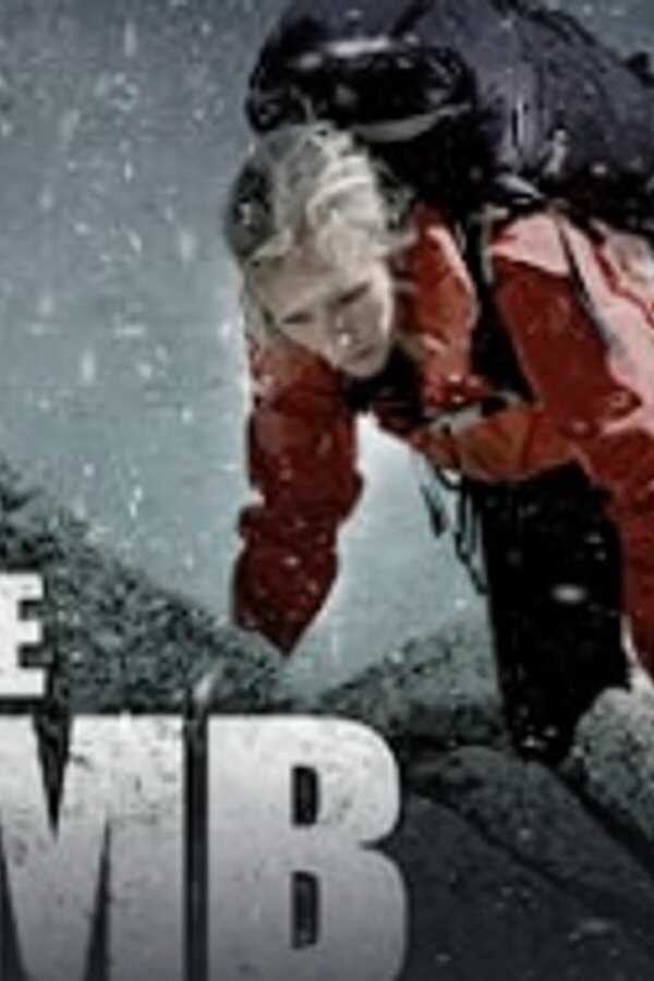 The Climb (2017) 0