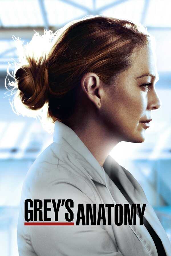 AR - Grey's Anatomy (2005) 8