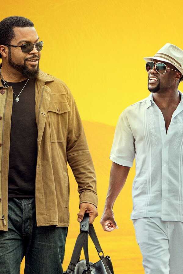 Ride Along 2 (2016) 0