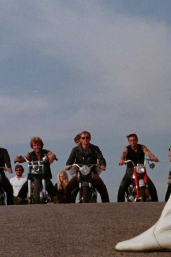 The Born Losers (1967) 0