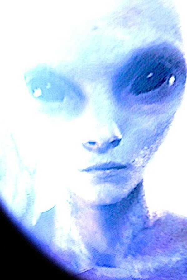 The Alien Report (2022) 0