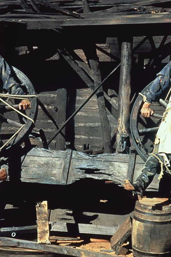 The Apple Dumpling Gang Rides Again (1979) 0