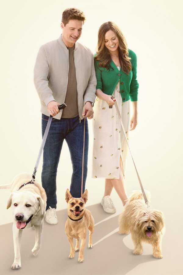 The More Love Grows (2023) 0