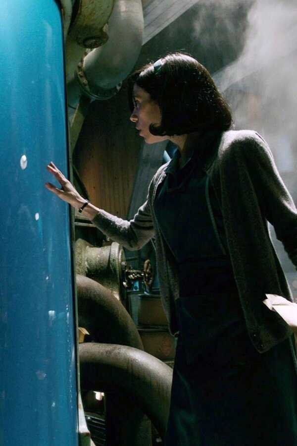 The Shape of Water (2017) 0
