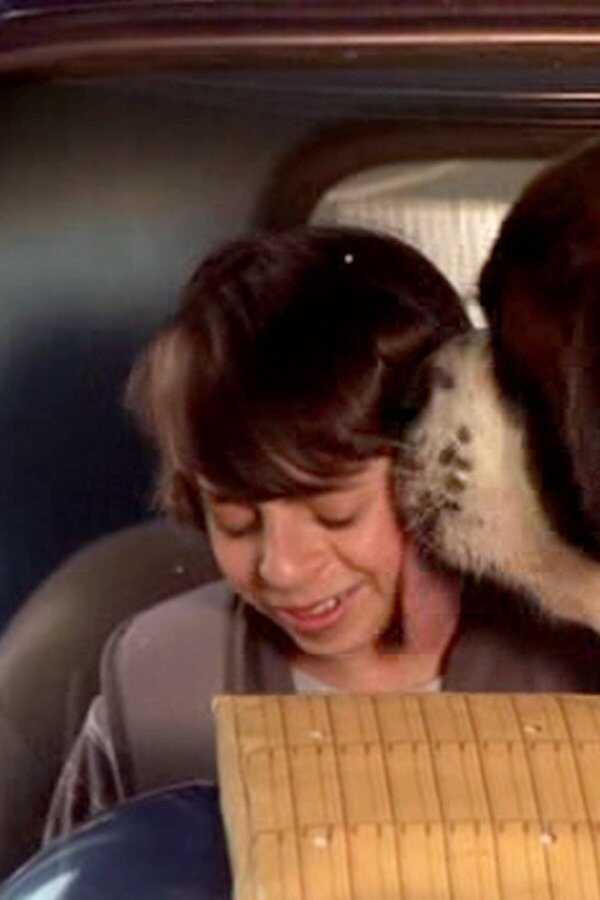 Beethoven's Big Break (2008) 0
