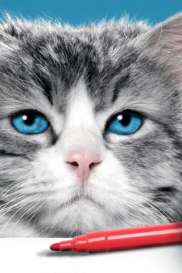 Siete vidas, este gato es un peligro (2016) 0