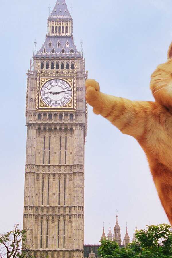 Garfield A Tail of Two Kitties (2006) 0