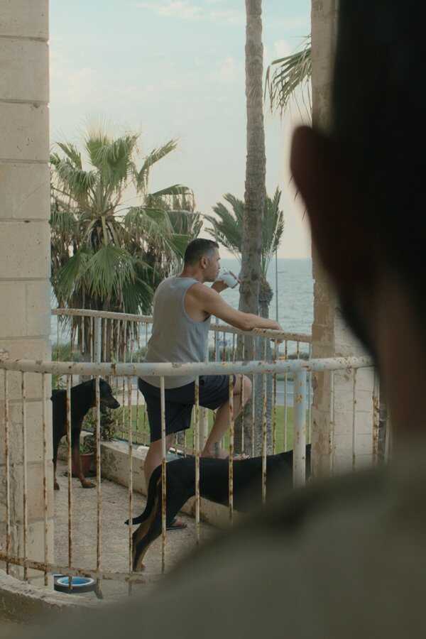 حمى البحر المتوسط (2022) 0