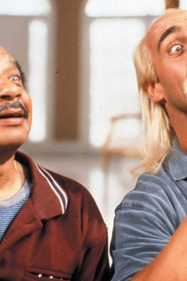Mr. Nanny (1993) 0