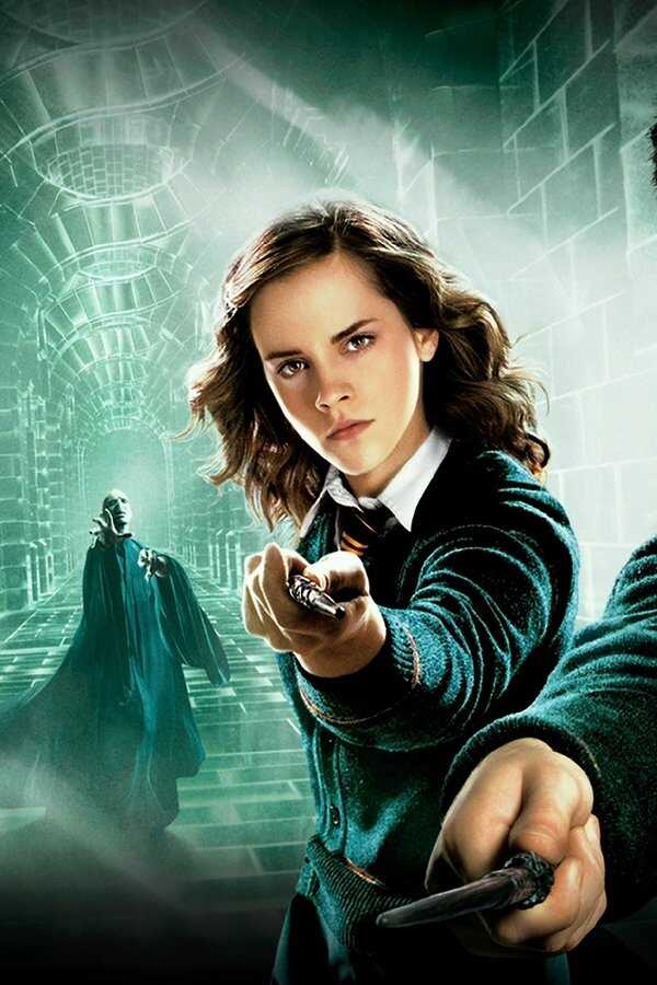 Harry Potter y la Orden del Fénix (2007) 0