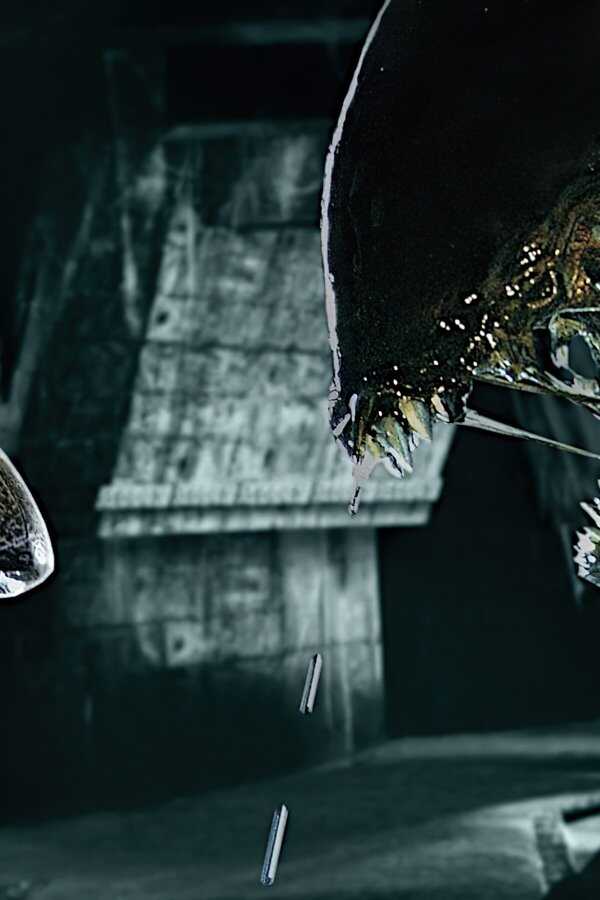 Alien vs. Predator (2004) 0