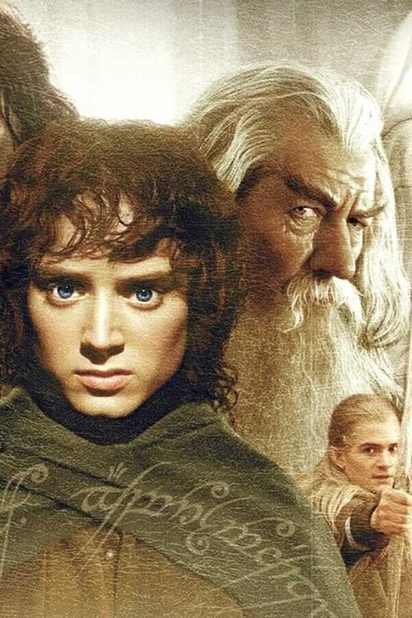 The Lord of the Rings: The Fellowship of the Ring (2001) 0
