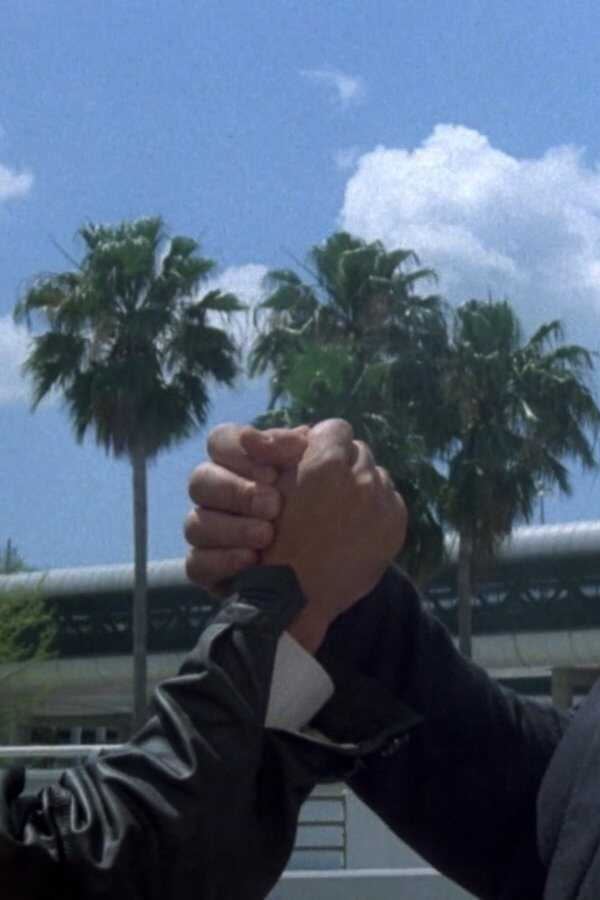Miami Supercops (1985) 0