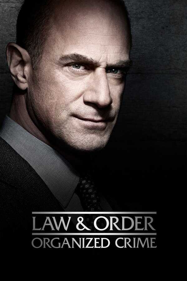 AR - Law & Order: Organized Crime (2021) 8