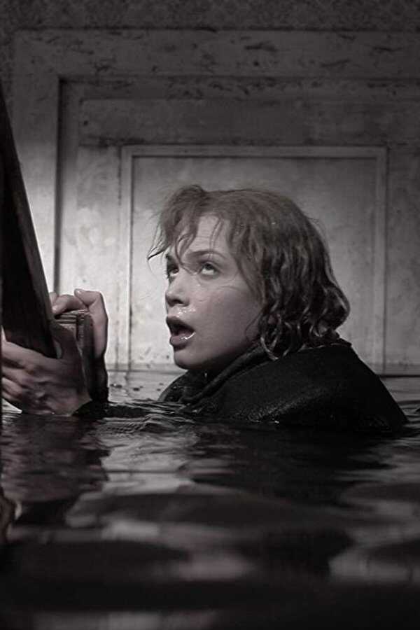 De Storm (2009) 0