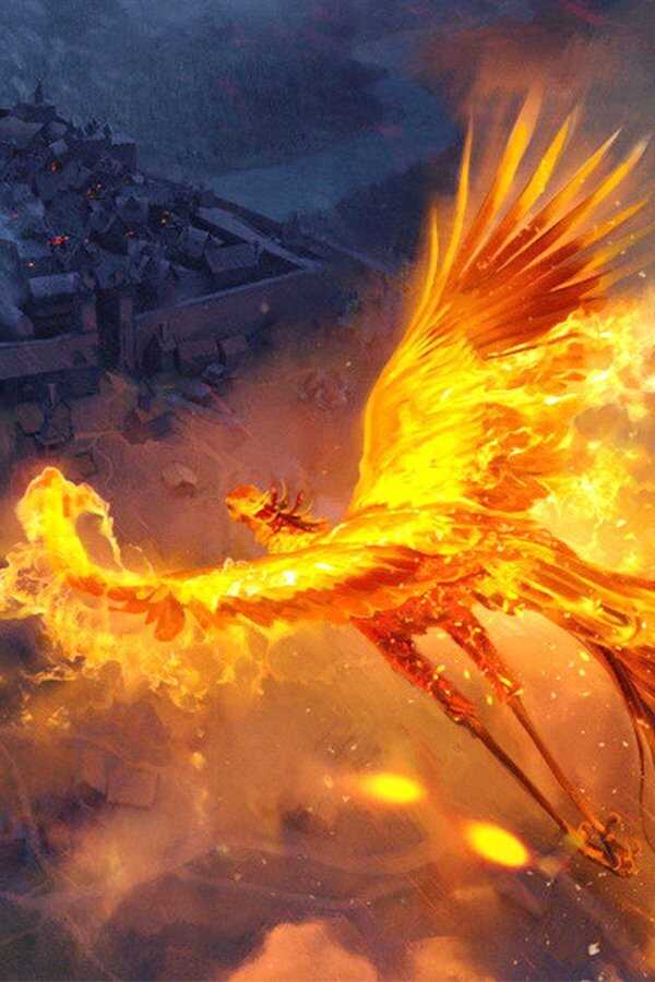 Magic Roads (2021) 0