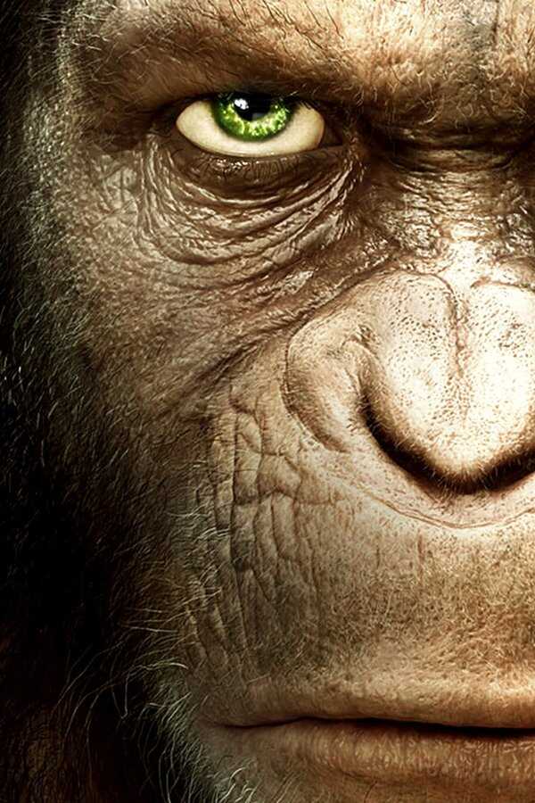 Rise of the Planet of the Apes (2011) 0