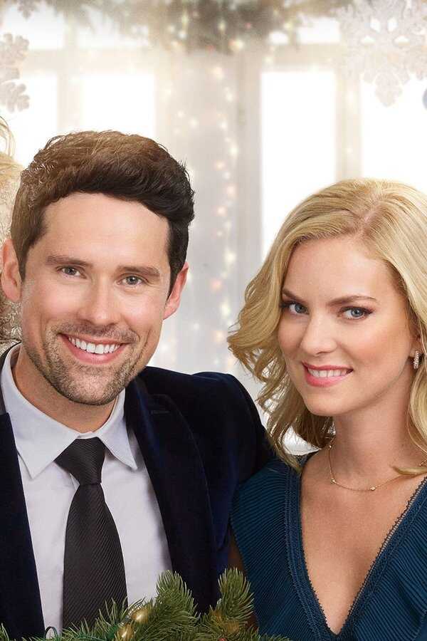 A Godwink Christmas: Meant For Love (2019) 0