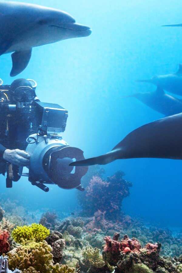Diving with Dolphins (2020) 0