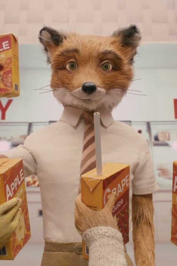 Fantástico Sr. Fox (2009) 0
