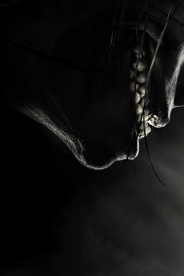 Grimcutty (2022) 0