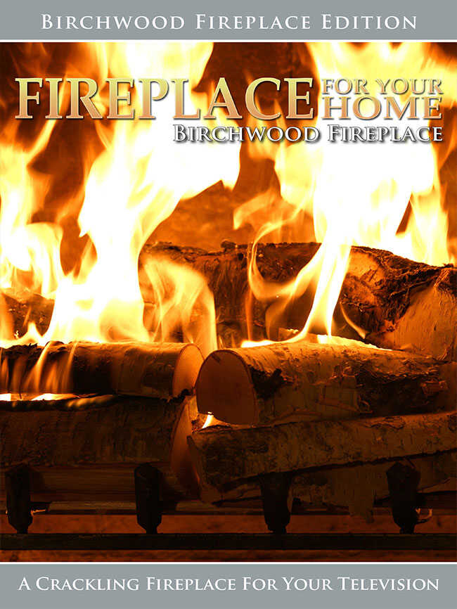 NF - Fireplace for Your Home 8